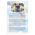 RECTANGLE - Rainbow Bridge Poem thumbnail