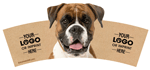 Boxer thumbnail