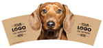 Dachshund thumbnail