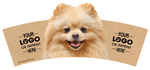 Pomeranian thumbnail