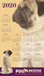 Pug thumbnail