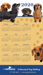 Dachshund thumbnail