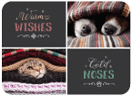 Warm Wishes, Cold Noses thumbnail