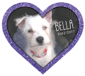 Heart - Glitter border thumbnail