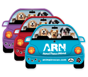 Pupmobile - Dogs and Cats thumbnail