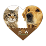 Dog and Cat thumbnail