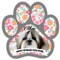 PAW - Floral Photo & Banner thumbnail