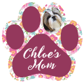 PAW - Floral photo in pad thumbnail