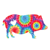 Pig (Tie Dye)  thumbnail