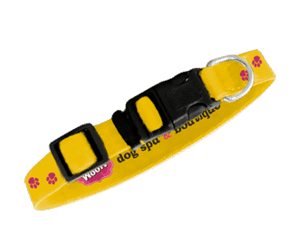 Yellow thumbnail