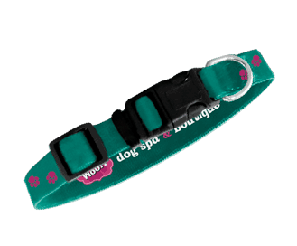 Teal thumbnail