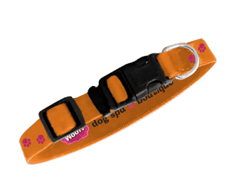 Orange thumbnail