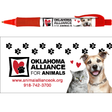 Dog and Cat thumbnail