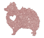 Pomeranian thumbnail
