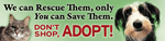 Don't Shop, ADOPT! thumbnail