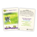 Cat Grass thumbnail