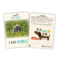 Dog Grass thumbnail