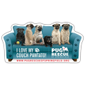 Pugs (BLUE) thumbnail