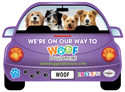Purple (Large Dogs) thumbnail