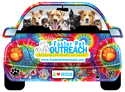 Tie Dye 1 (dogs and cats) thumbnail