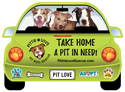Lime Green (Pit Bulls) thumbnail