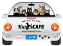 White (Cats) thumbnail