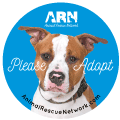 Cute Pup Adopt thumbnail
