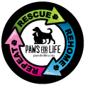 Rescue, Rehome, Repeat thumbnail