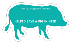 Pig - Teal thumbnail