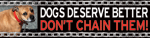 Dogs Deserve Better - Don't Chain Them! thumbnail