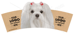 Maltese thumbnail