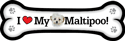 Maltipoo thumbnail