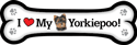 Yorkiepoo thumbnail