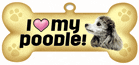 Poodle thumbnail