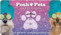 Spa Dogs Glitter thumbnail