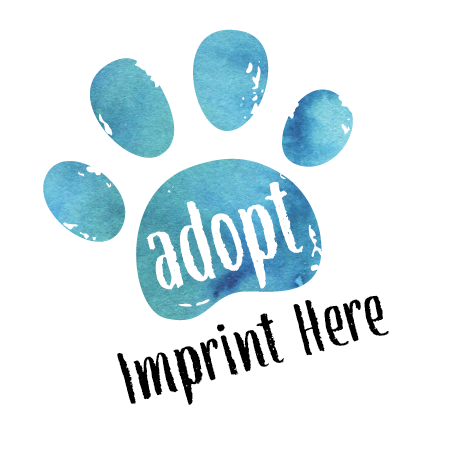 Paw Watercolor thumbnail