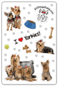 Yorkies thumbnail