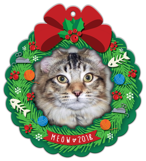 Cat Toys thumbnail