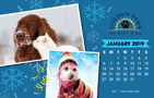 Holidays Theme thumbnail