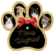 PAW - Black with Gold Glitter thumbnail