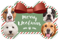 Bone with Bow - Holiday Stripes thumbnail