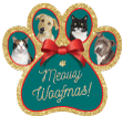 PAW - Deep Teal with Gold Glitter thumbnail