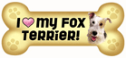 Fox Terrier thumbnail