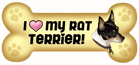 Rat Terrier thumbnail