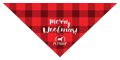 Buffalo Plaid thumbnail