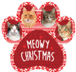 PAW - Red Sweater thumbnail