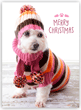 Sweater Weather thumbnail