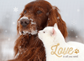 Snow Kisses thumbnail