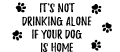 Drinking Alone - DOG thumbnail