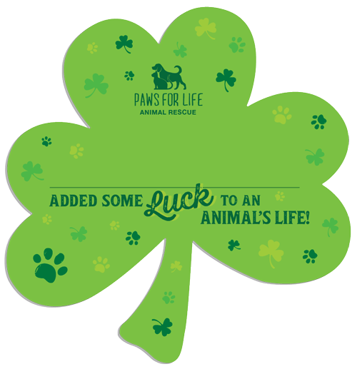 Shamrock - Lime thumbnail